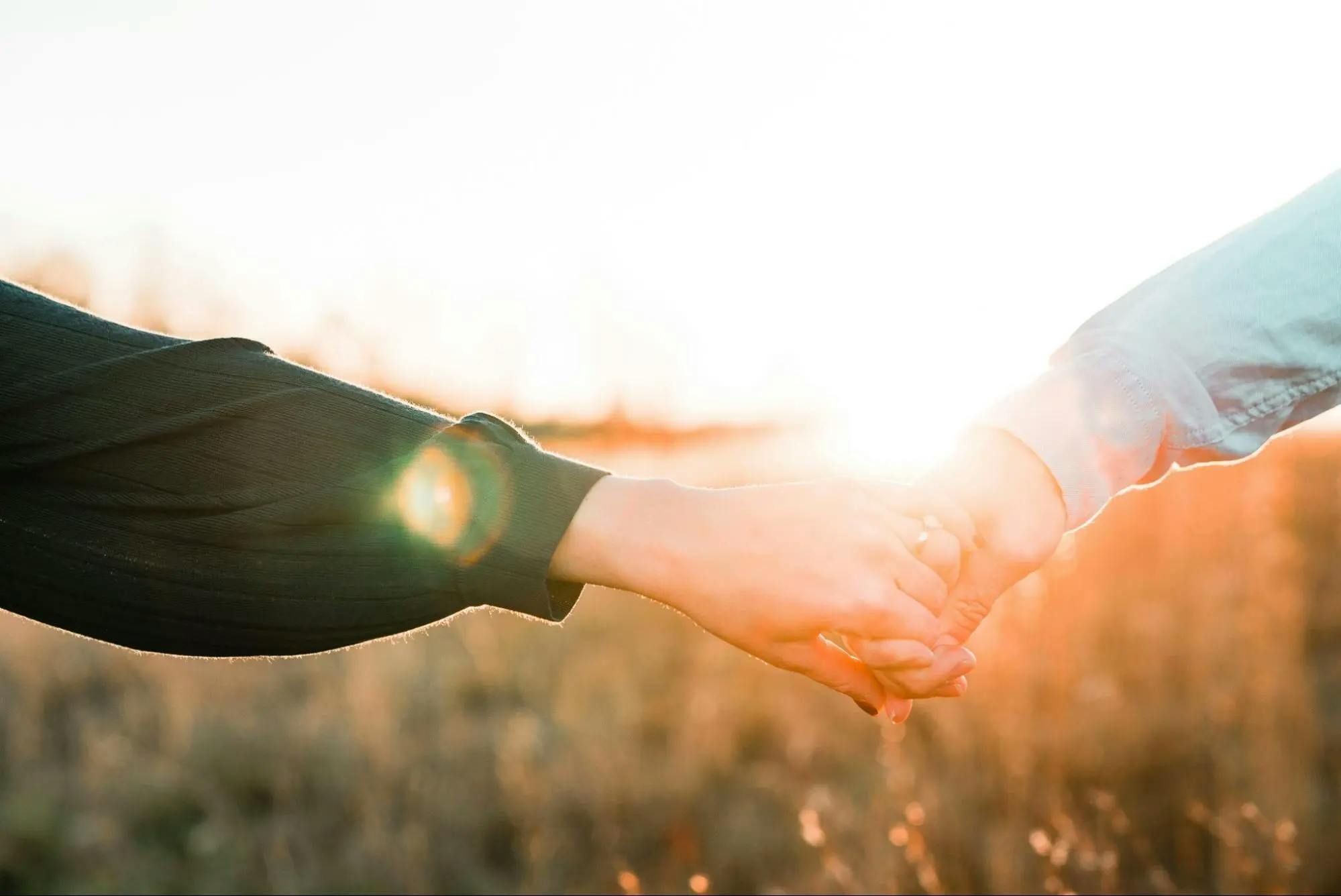 A couple holding hands in a field during sunset