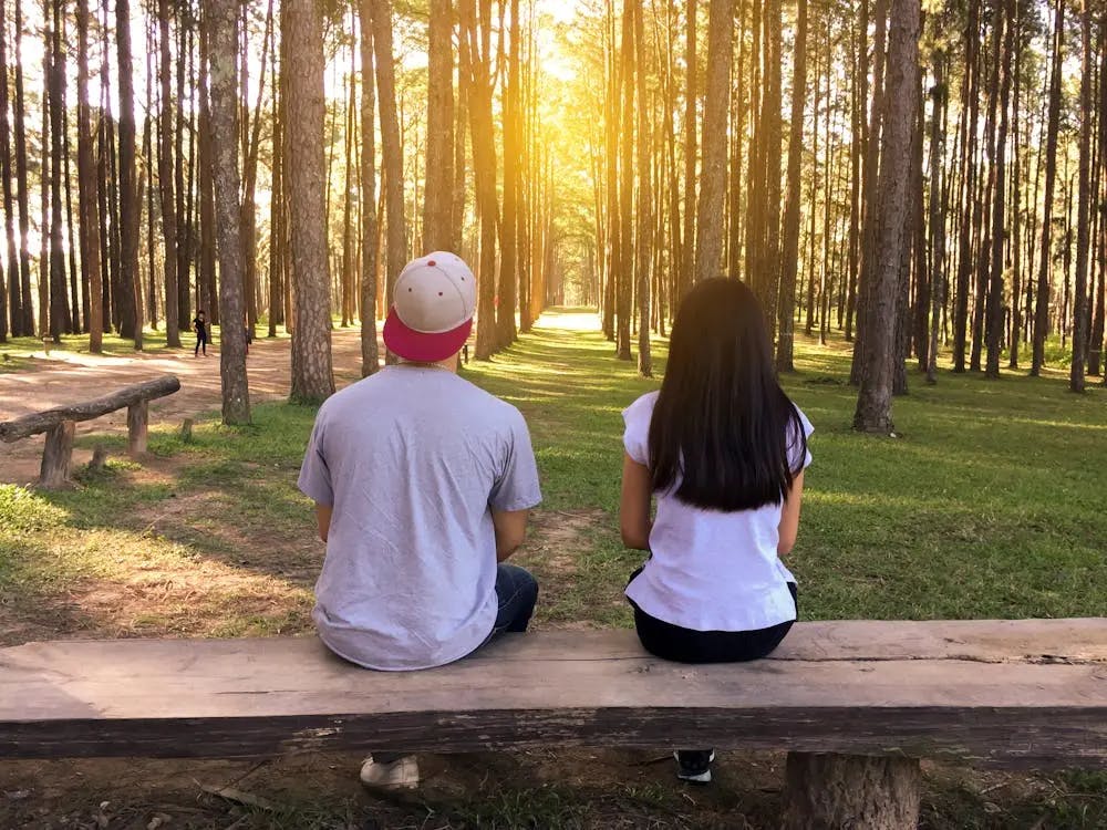 A couple sitting on a bench in a park with tall trees surrounding them