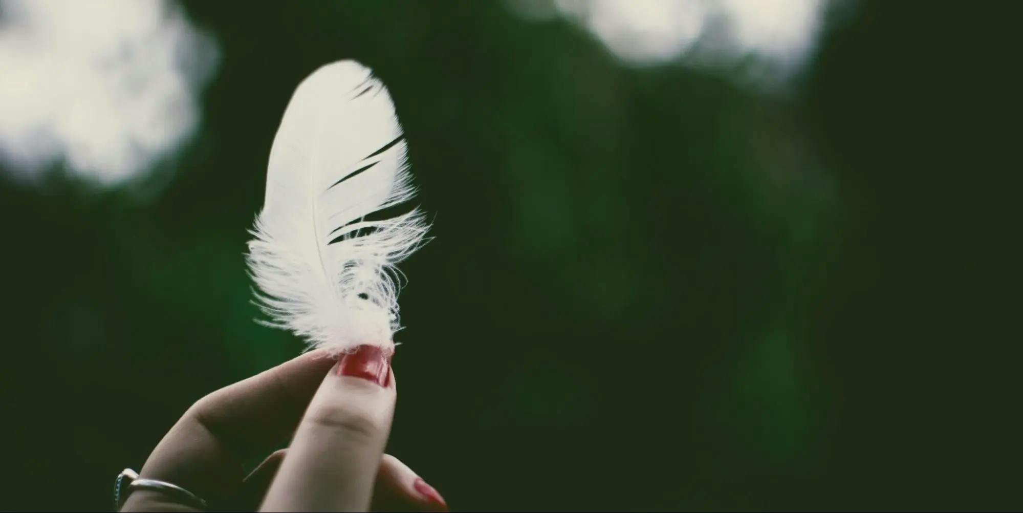 Girl holding up a white feather