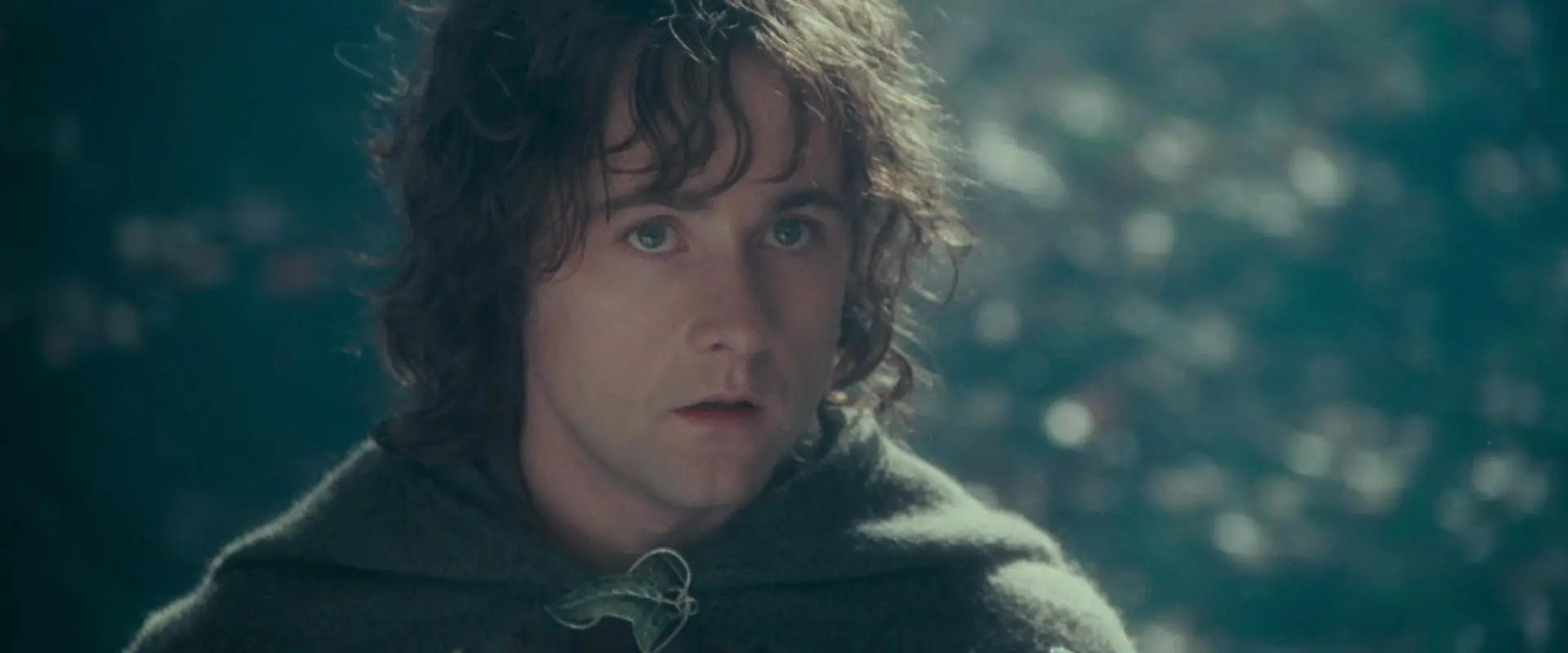 Peregrin Pippin Took Personality Type