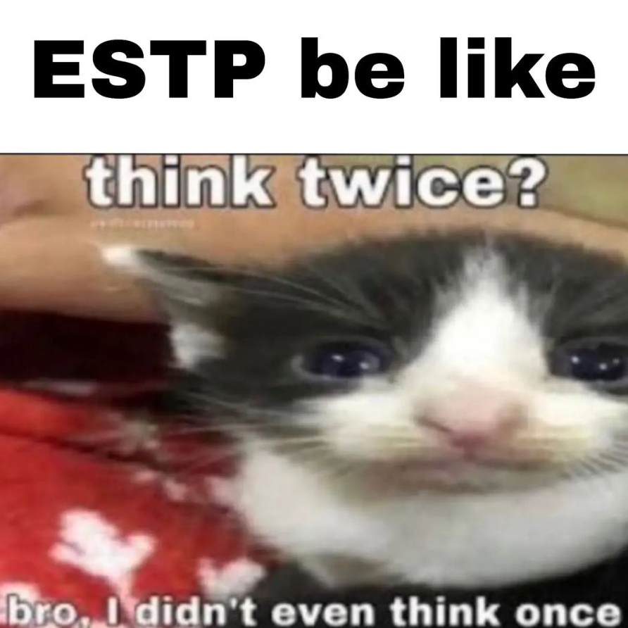 ESTP Memes 