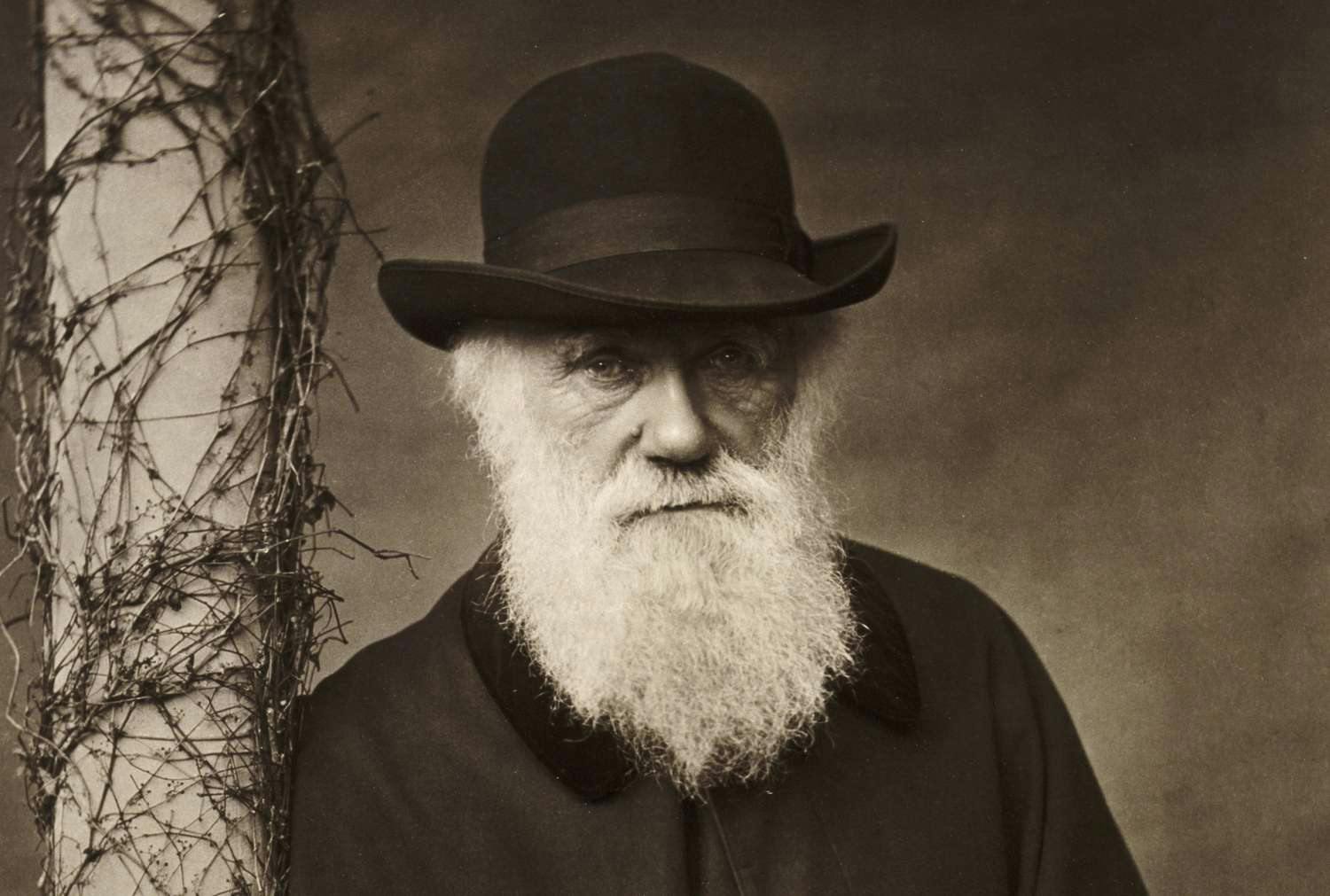 Charles Darwin personality type