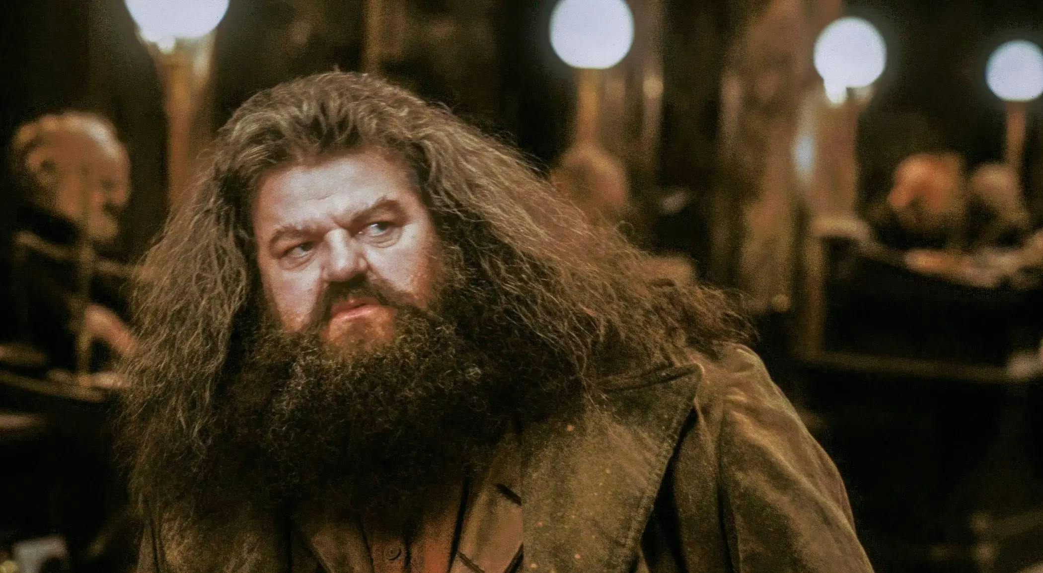 Rubeus Hagrid ISFP Character