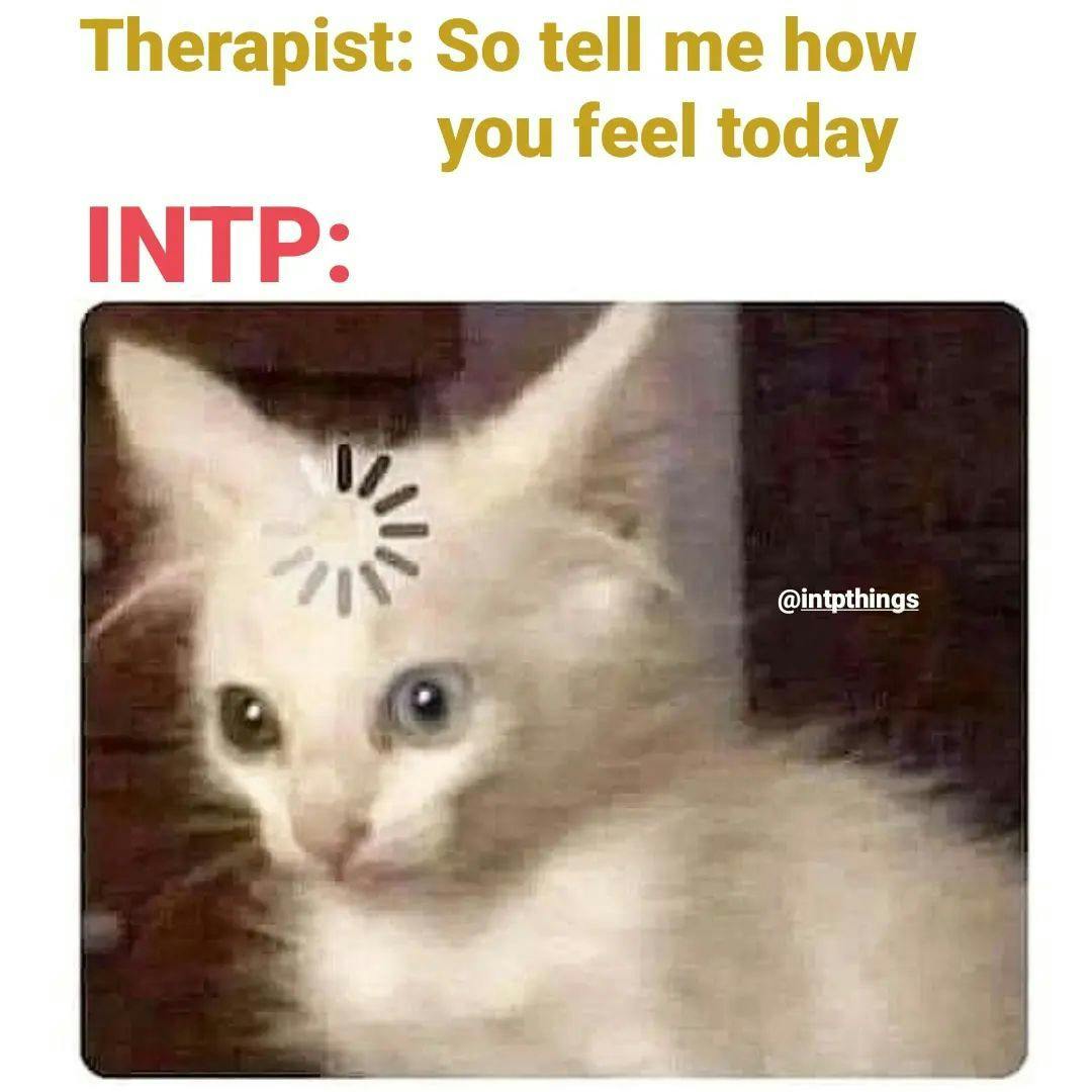 INTP Personality Memes 