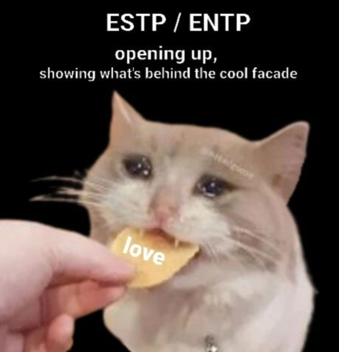 ESTP Memes