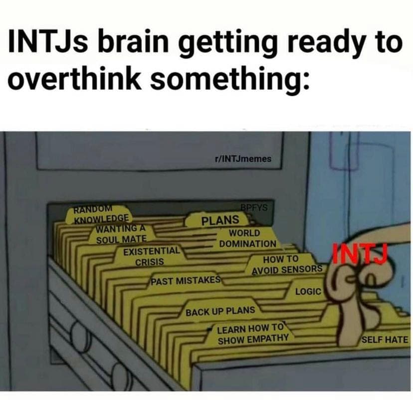 20 Extremely Relatable INTJ Memes - MyPersonality - My personality