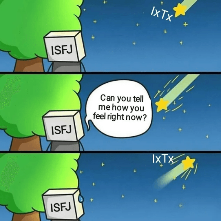 25+ ISFJ Memes That Will Make You Laugh